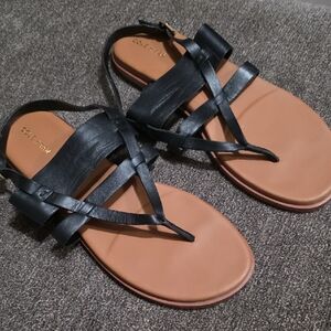 Cole Haan Black and Brown Women's Sandals